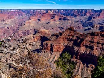 Grand Canyon: Klassische Sightseeingtour ab Flagstaff Grand Canyon: Klassische Sightseeingtour ab Flagstaff