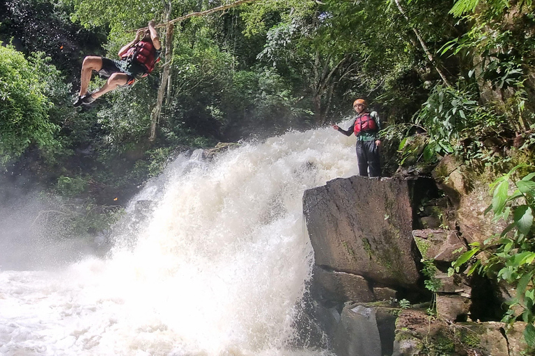 Foz do Iguaçu : randonnée aux chutes avec déjeuner et transfertFoz do Iguaçu : randonnée aux chutes d&#039;eau avec déjeuner et transfert