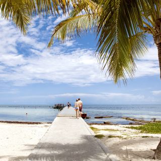 Från Miami: heldagstur till Key West med snorkling och transfer