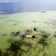 From Miami: Key West Full-Day Trip with Snorkeling and Transfer