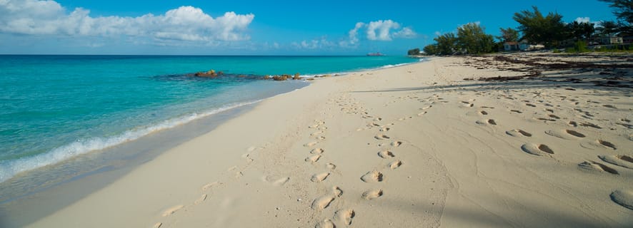 From Miami: Bimini Bahamas Day Trip Economy Class with Transfer