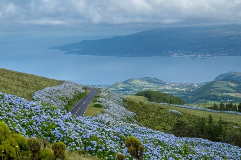 Ab Horta: Geführte Faial Island Tour
