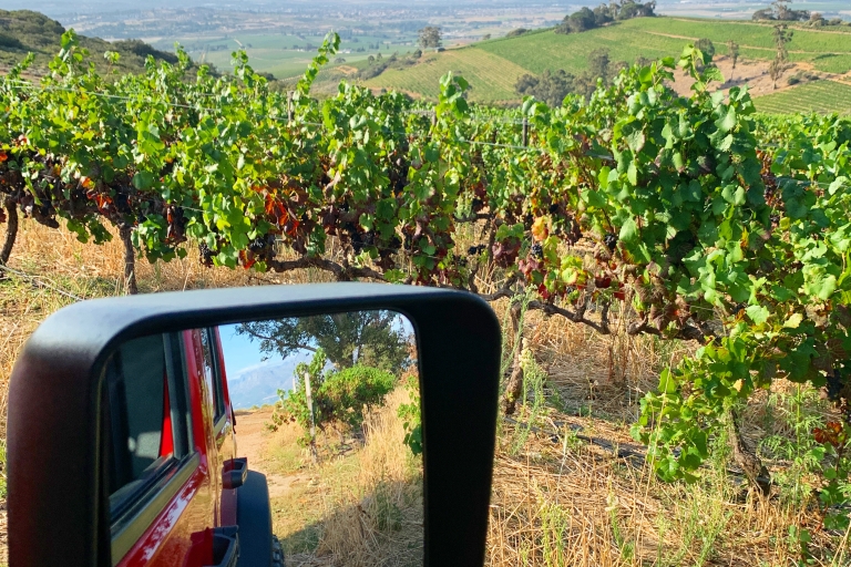 Ciudad del Cabo: tour privado del vino en jeep Constantia con degustaciones