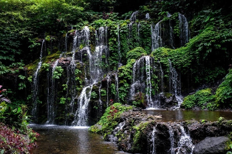 Bali: Tour delle colline nascoste, delle cascate e dei templi di Wanagiri
