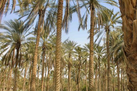 Tunisia: 2-Day, 1-Night Desert Trip - Kairouan, Matmata, Ksar Ghilane, Tataouine
