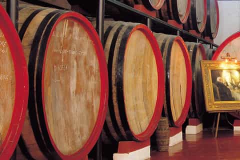 Marsala: tour della cantina con degustazione di vini e prodotti locali