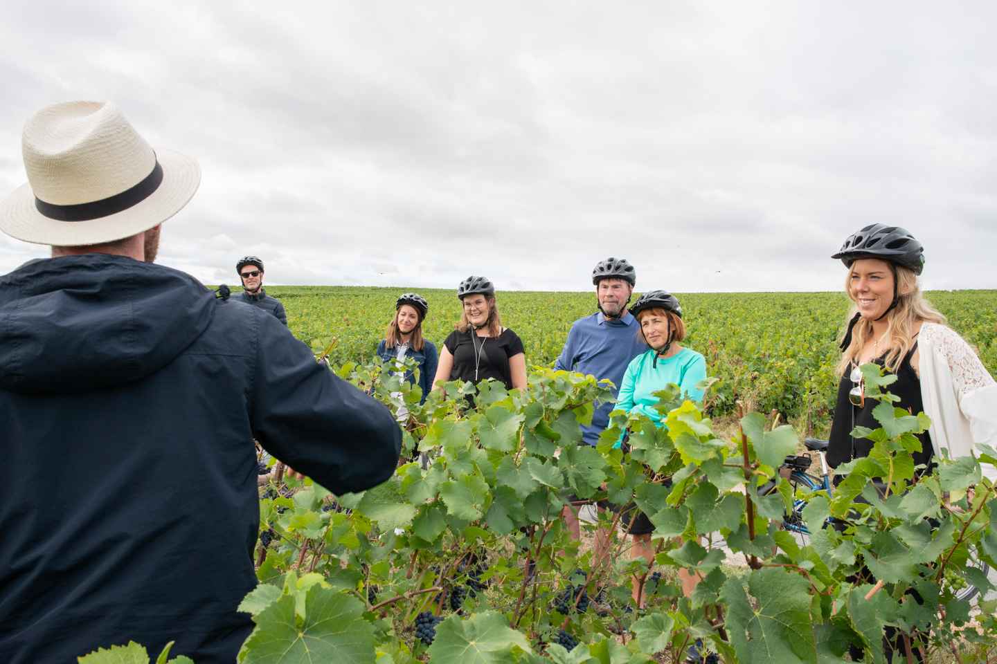 香槟电动自行车一日游：品酒享午餐