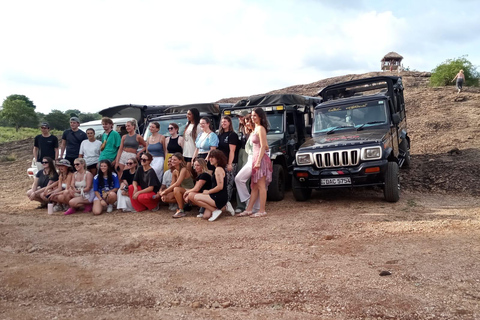 Desde Colombo: Excursión de un día a Sigiriya / Dambulla y Safari