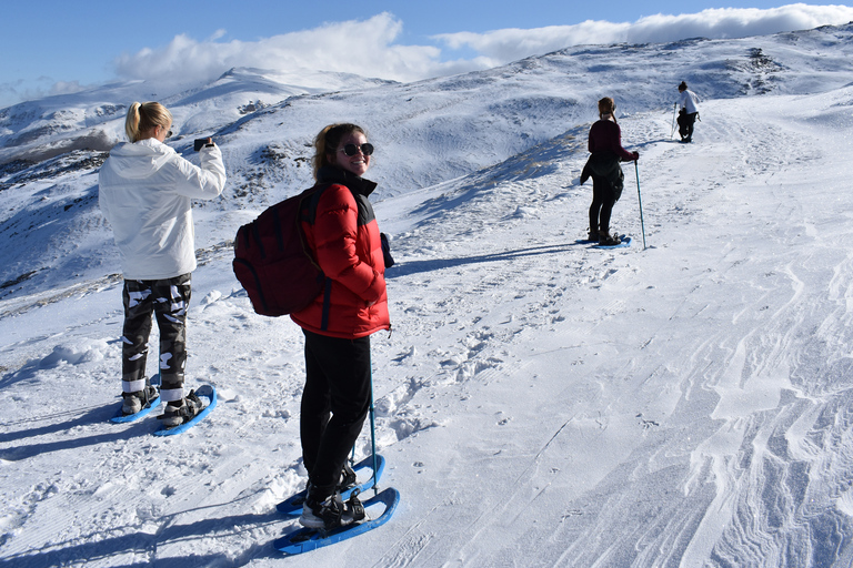 Sierra Nevada: Excursión con raquetas de nieveSenderismo con raquetas de nieve y traslado desde Granada