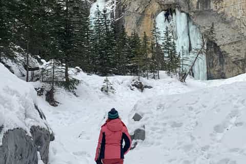 Canmore: 3-Hour Canyons and Cave Paintings Hiking Tour
