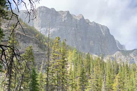 Canmore: Hidden Gems and Untold Stories Walking Tour