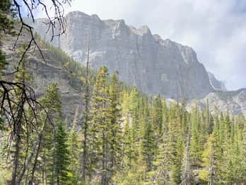 Canmore: Hidden Gems und Untold Stories Walking Tour Canmore: Hidden Gems und Untold Stories Walking Tour