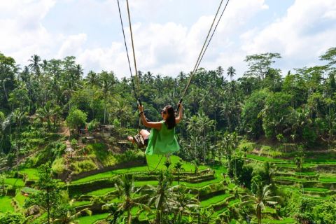 Bali: tour panoramico di un'intera giornata a Ubud con spettacolo di danza Legong