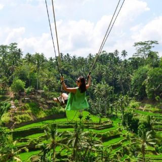 Bali: tour panoramico di un'intera giornata a Ubud con spettacolo di danza Legong