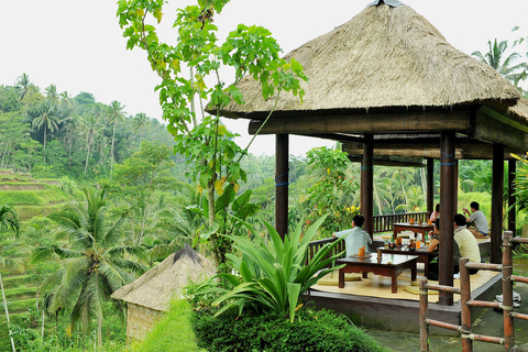 Bali: tour destacado de Ubud y templo de Uluwatu con danza KecakTour en grupo en inglés