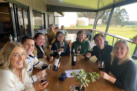 From Sydney: Hunter Valley Wine, Gin, &amp; Food Tastings Tour