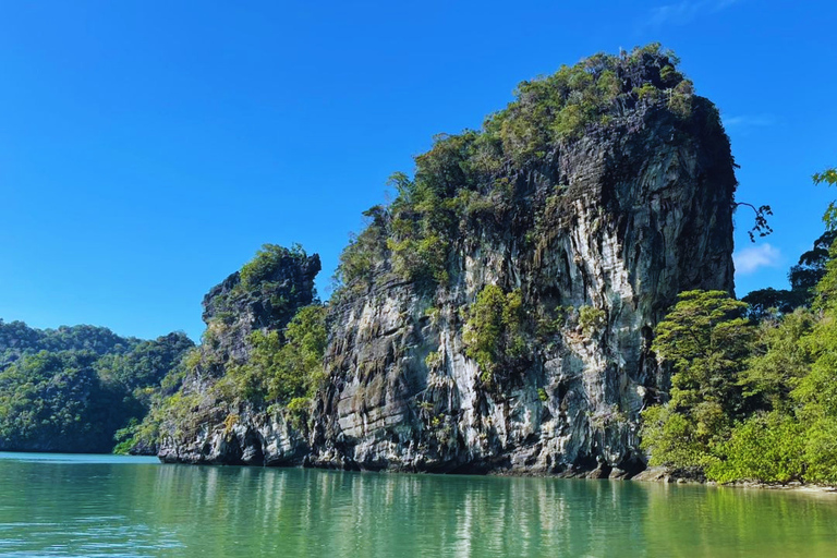 Langkawi: Kilim Geoforest Mangrove 2-Hour Jetski Tour Single Rider Jet Ski Option