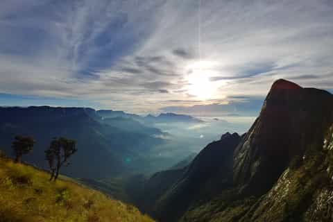 Desde Kochi: tour de 3 días por la estación Munnar Hill y las plantaciones de té