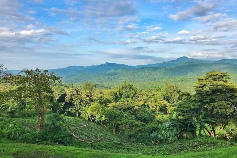 Chebera Churchura: Wildtiere &amp; malerische Ausblicke 4-tägige TourChebera Churchura: 4-tägige Tour mit Wildtieren und tollen Aussichten