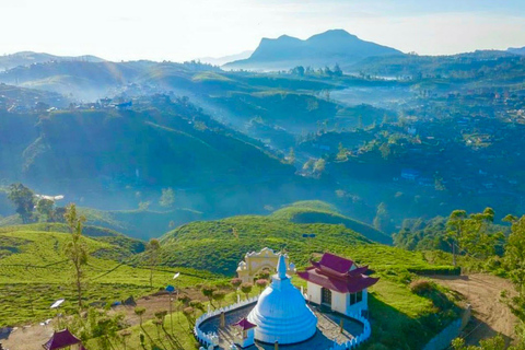 Trip from Kandy to Ambewela Railway Station via Nuwara Eliya Kandy to Nuwara Eliya and Ambewela Drop tour by car or van