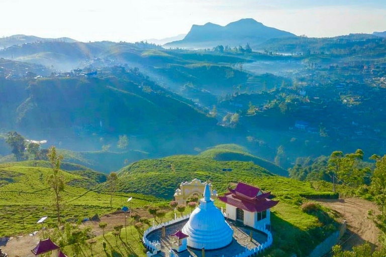 Trip from Kandy to Ambewela Railway Station via Nuwara Eliya Kandy to Nuwara Eliya and Ambewela Drop tour by car or van