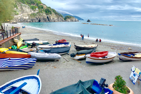 Z Florencji: prywatna wycieczka do Pizy i Cinque TerrePrywatna wycieczka po Cinque Terre i Pizie