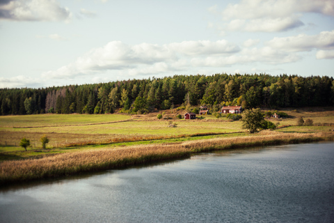 Sztokholm: Wycieczka kajakiem po archipelagu wysp i piknik na świeżym powietrzuPółdniowa wycieczka kajakowa z Outdoor Fika