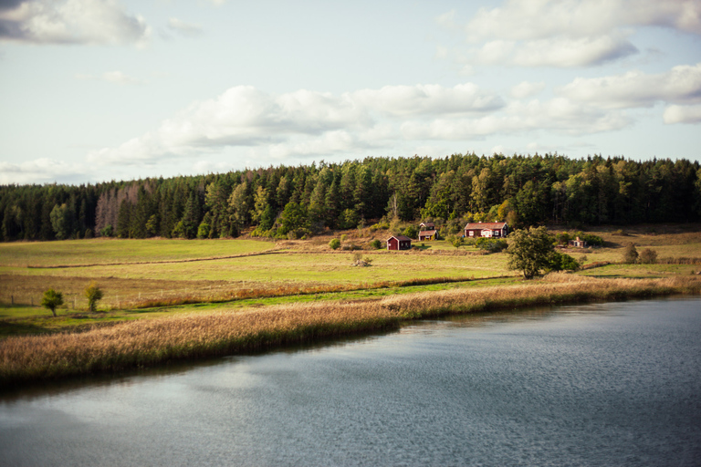 Stockholm: Archipel eilanden kajaktocht en picknick in de buitenluchtHalfdaagse tour per kajak met Outdoor Fika