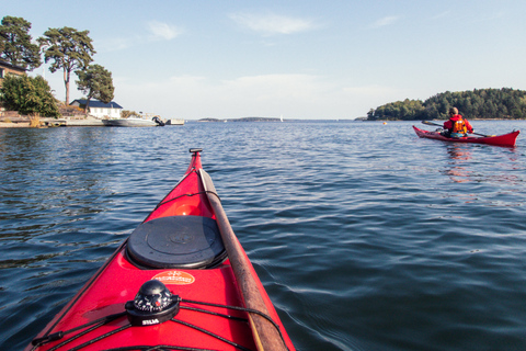 Stoccolma: Kayak invernale, Fika svedese e sauna caldaTour invernale in kayak