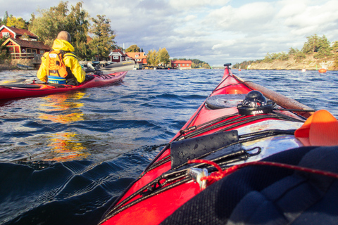 Stockholm : kayak d'hiver de 3 heures et expérience Fika