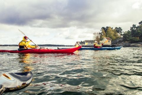 Stockholm: 3-Hour Winter Kayaking and Fika Experience