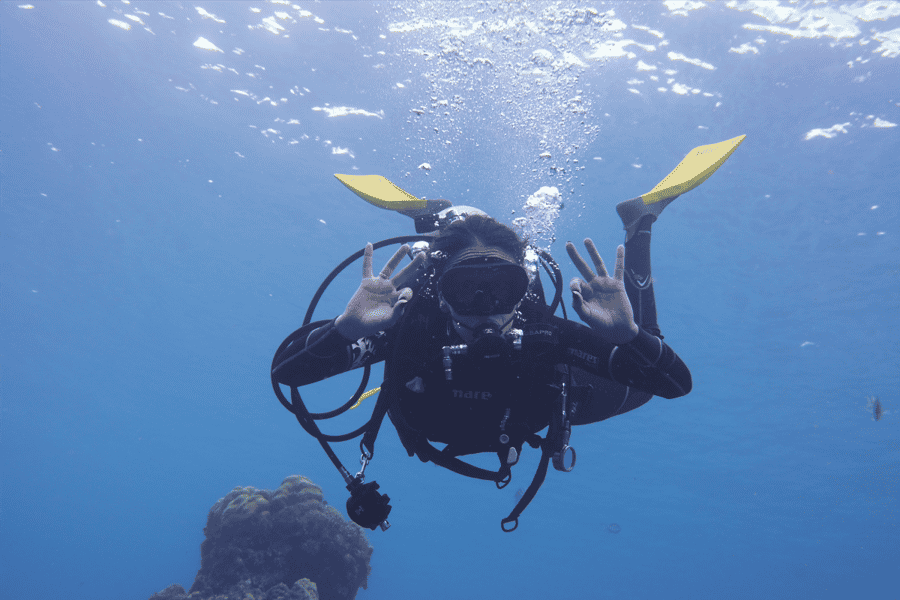 Panama City Beach: Schnuppertauchkurs für Anfänger. Foto: GetYourGuide Panama City Beach: Schnuppertauchkurs für Anfänger. Foto: GetYourGuide