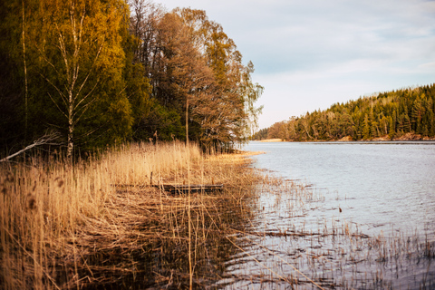 Stockholm: Canoe Adventure in Bogesund Nature Reserve