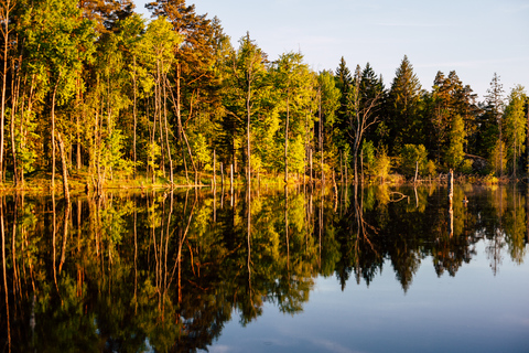 Stockholm: Canoe Adventure in Bogesund Nature Reserve