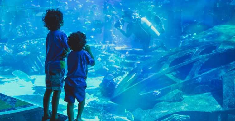 Dubai: Tages-Ticket für Aquarium und Unterwasserzoo