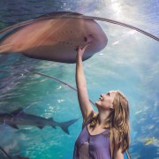 ドバイ：水族館と水中動物園の1日券