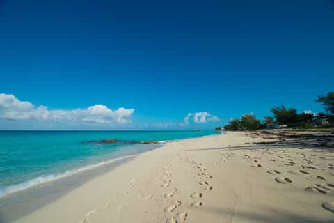 From Miami: Bimini Bahamas Day Trip Business Class with Transfer