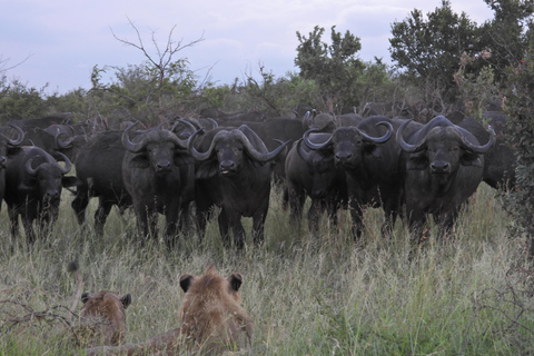 Budget Kruger &amp; Panorama meerdaagse tour vanuit Johannesburg5-daagse budgetreis naar Kruger &amp; Panorama