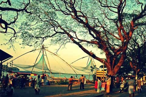 Kochi: 3-Day Best of Kerala Tour with Houseboat Cruise