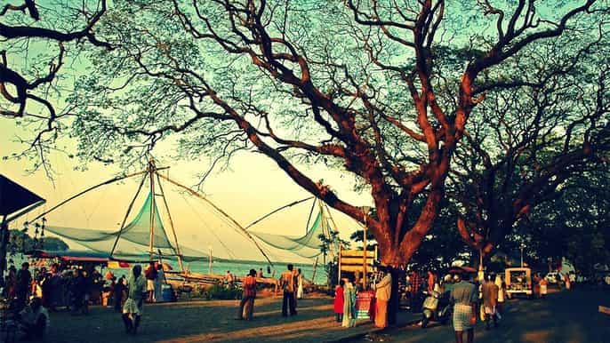 kochi 3day best of kerala tour with houseboat cruise
