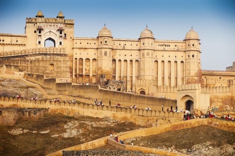 Da Delhi: lo stesso giorno Jaipur City e Amer Fort Tour in auto