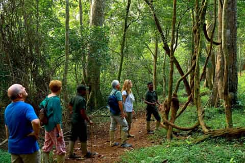 From Kochi: 3-Day Thekkady Wildlife Tour