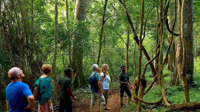 from kochi 3day thekkady wildlife tour