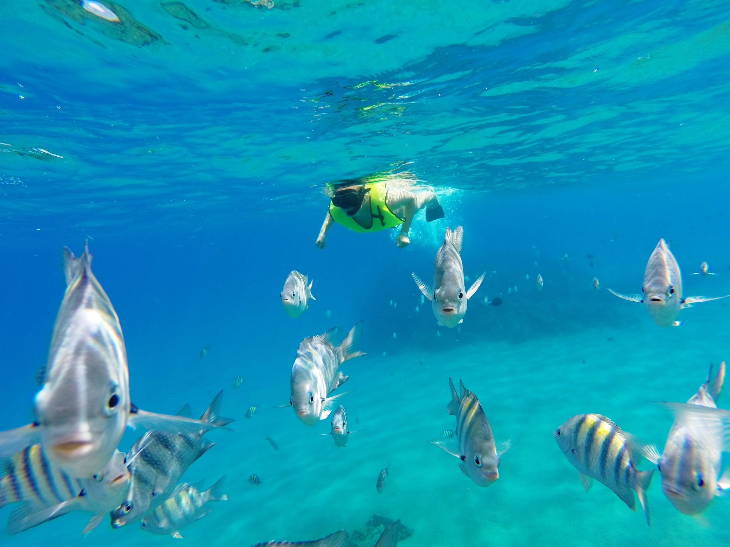 Schnorchel Tour & Sosua Strand Tag