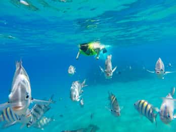 Excursión de snorkel y día de playa en Sosua