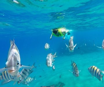 Snorkeling Tour & Sosua Beach Day