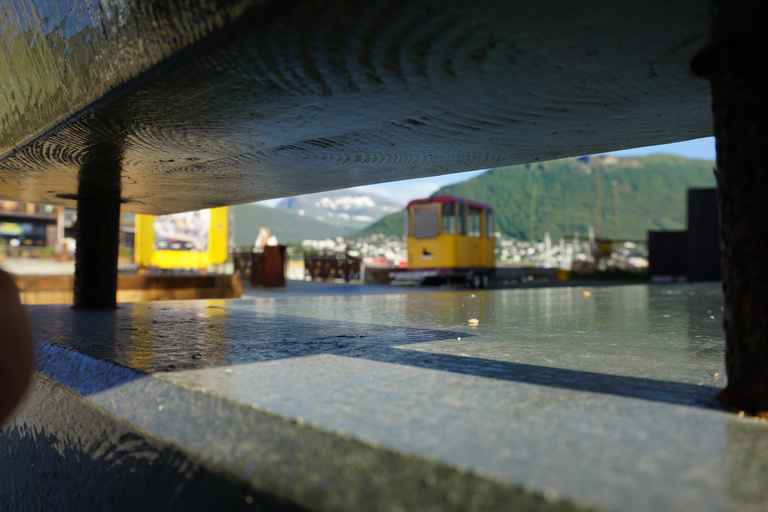 Tromsø: Small Group City Walk & Cinnamon Bun at Fint Café
