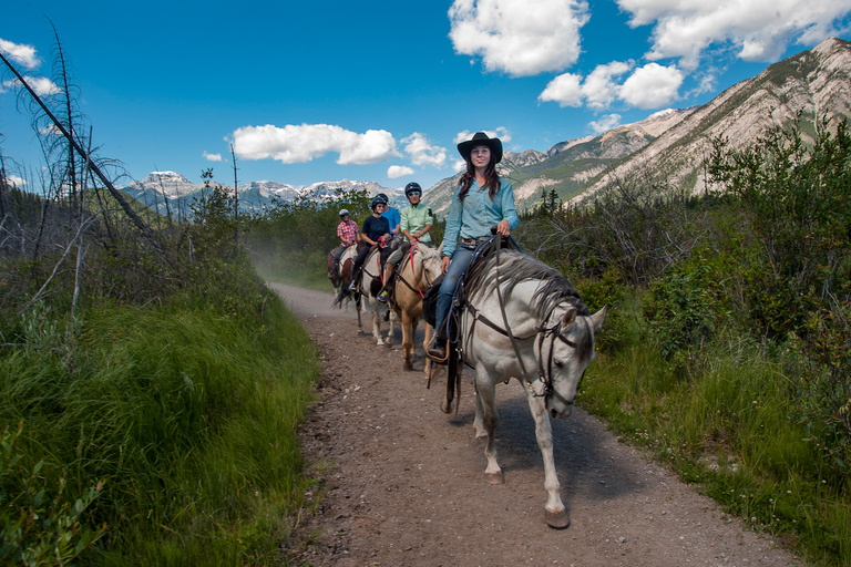 Parque Nacional de Banff: passeio a cavalo de 2 horas em Sundance Loop