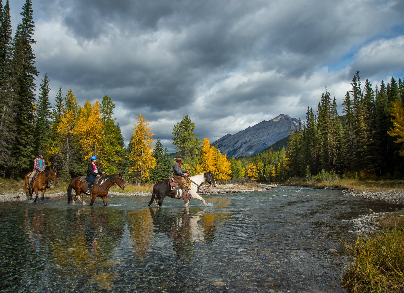 Banff National Park: 1 times ridetur til hest på Spray River