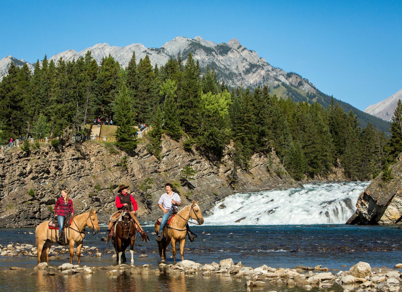 Banff National Park: 1 times ridetur til hest på Spray River